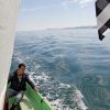 Sortie en mer